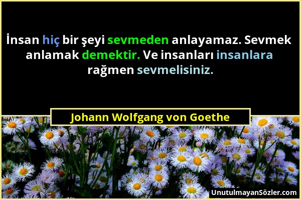 Johann Wolfgang von Goethe - İnsan hiç bir şeyi sevmeden anlayamaz. Sevmek anlamak demektir. Ve insanları insanlara rağmen sevmelisiniz....