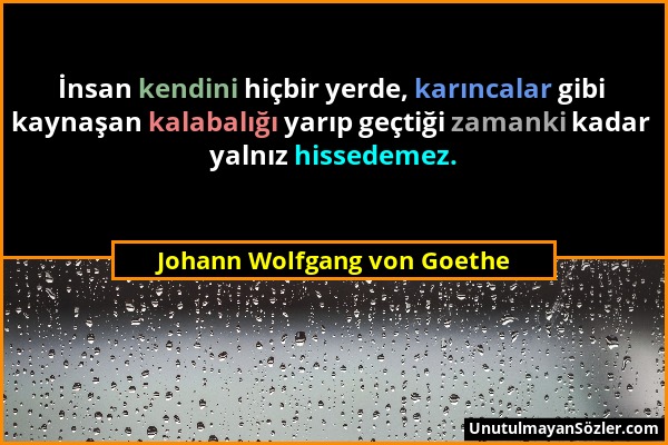 Johann Wolfgang von Goethe - İnsan kendini hiçbir yerde, karıncalar gibi kaynaşan kalabalığı yarıp geçtiği zamanki kadar yalnız hissedemez....