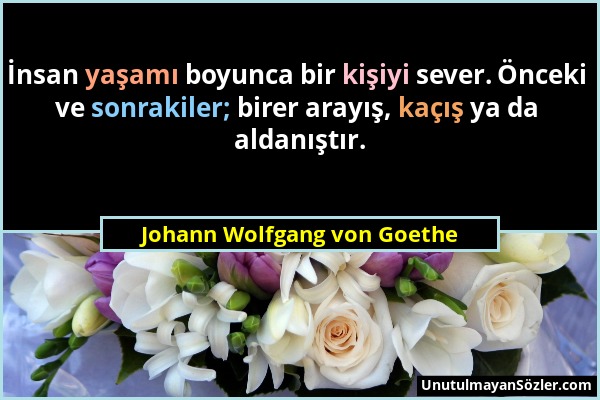 Johann Wolfgang von Goethe - İnsan yaşamı boyunca bir kişiyi sever. Önceki ve sonrakiler; birer arayış, kaçış ya da aldanıştır....