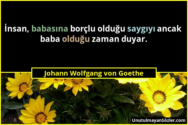 Johann Wolfgang von Goethe - İnsan, babasına borçlu olduğu saygıyı ancak baba olduğu zaman duyar....