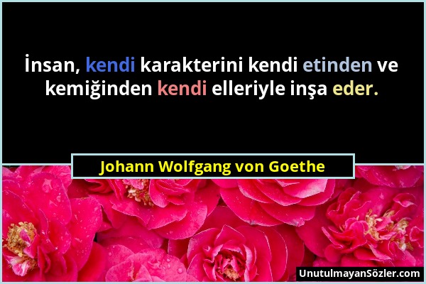 Johann Wolfgang von Goethe - İnsan, kendi karakterini kendi etinden ve kemiğinden kendi elleriyle inşa eder....