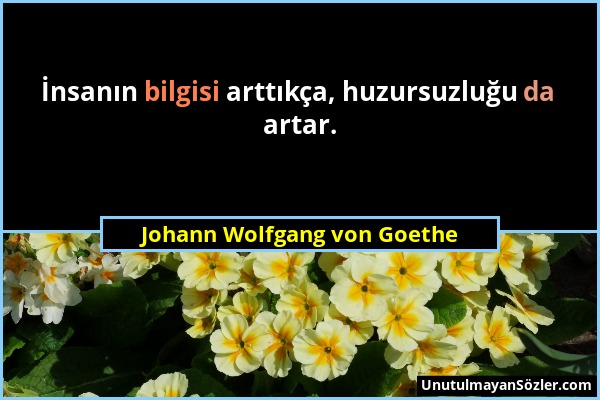 Johann Wolfgang von Goethe - İnsanın bilgisi arttıkça, huzursuzluğu da artar....