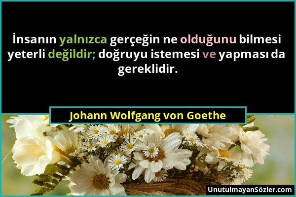 Johann Wolfgang von Goethe - İnsanın yalnızca gerçeğin ne olduğunu bilmesi yeterli değildir; doğruyu istemesi ve yapması da gereklidir....