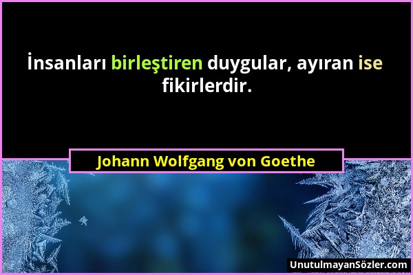 Johann Wolfgang von Goethe - İnsanları birleştiren duygular, ayıran ise fikirlerdir....