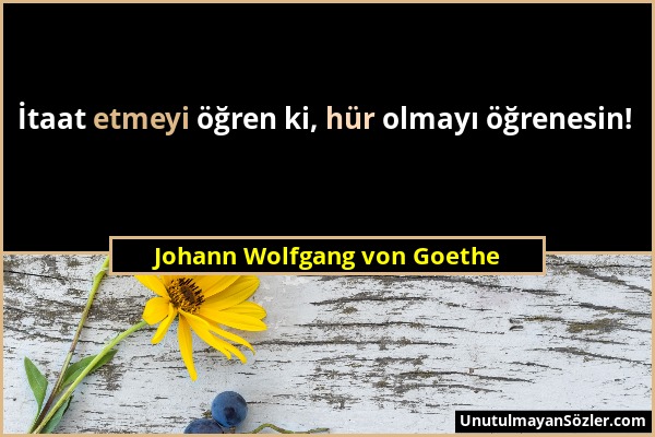 Johann Wolfgang von Goethe - İtaat etmeyi öğren ki, hür olmayı öğrenesin!...
