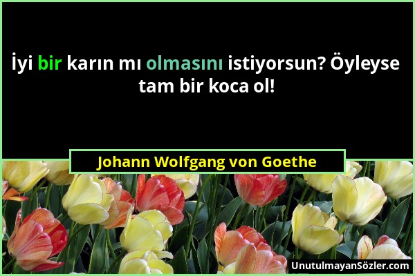 Johann Wolfgang von Goethe - İyi bir karın mı olmasını istiyorsun? Öyleyse tam bir koca ol!...