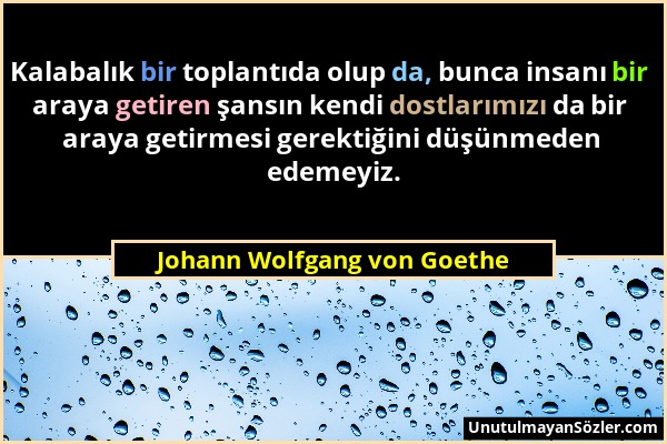 Johann Wolfgang von Goethe - Kalabalık bir toplantıda olup da, bunca insanı bir araya getiren şansın kendi dostlarımızı da bir araya getirmesi gerekti...