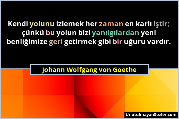 Johann Wolfgang von Goethe - Kendi yolunu izlemek her zaman en karlı iştir; çünkü bu yolun bizi yanılgılardan yeni benliğimize geri getirmek gibi bir...