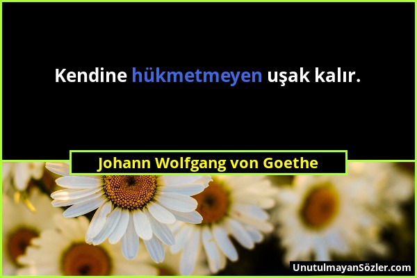 Johann Wolfgang von Goethe - Kendine hükmetmeyen uşak kalır....