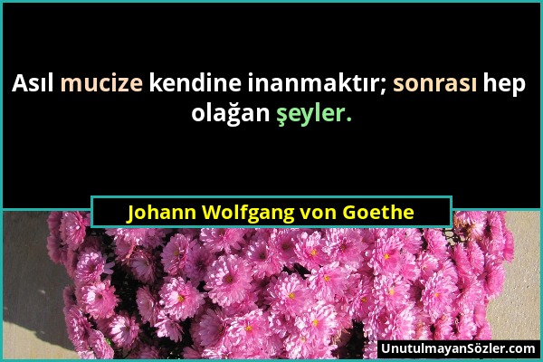 Johann Wolfgang von Goethe - Asıl mucize kendine inanmaktır; sonrası hep olağan şeyler....