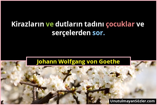 Johann Wolfgang von Goethe - Kirazların ve dutların tadını çocuklar ve serçelerden sor....