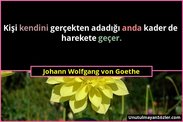 Johann Wolfgang von Goethe - Kişi kendini gerçekten adadığı anda kader de harekete geçer....
