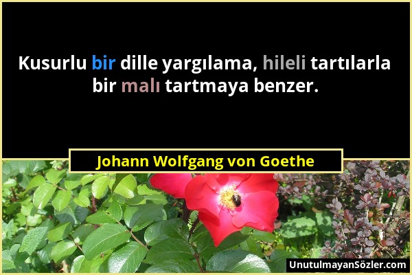 Johann Wolfgang von Goethe - Kusurlu bir dille yargılama, hileli tartılarla bir malı tartmaya benzer....