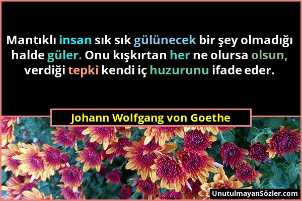 Johann Wolfgang von Goethe - Mantıklı insan sık sık gülünecek bir şey olmadığı halde güler. Onu kışkırtan her ne olursa olsun, verdiği tepki kendi iç...