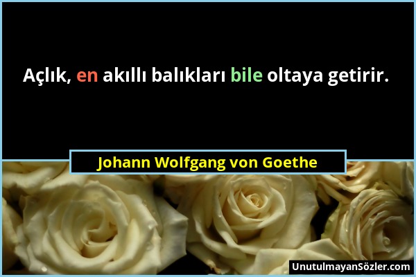 Johann Wolfgang von Goethe - Açlık, en akıllı balıkları bile oltaya getirir....