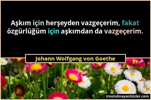 Johann Wolfgang von Goethe - Aşkım için herşeyden vazgeçerim, fakat özgürlüğüm için aşkımdan da vazgeçerim....