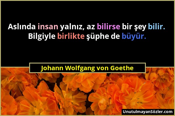 Johann Wolfgang von Goethe - Aslında insan yalnız, az bilirse bir şey bilir. Bilgiyle birlikte şüphe de büyür....