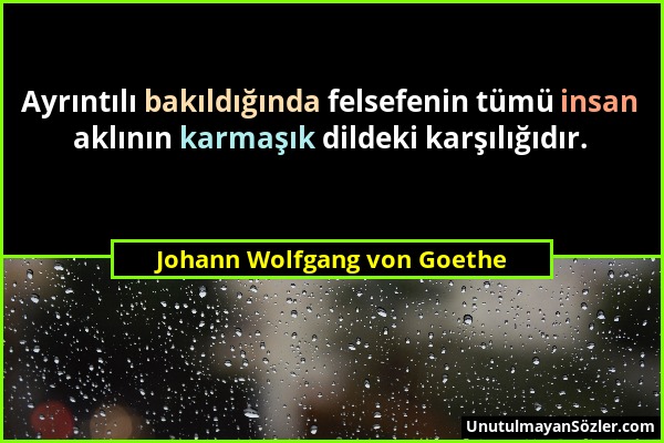 Johann Wolfgang von Goethe - Ayrıntılı bakıldığında felsefenin tümü insan aklının karmaşık dildeki karşılığıdır....