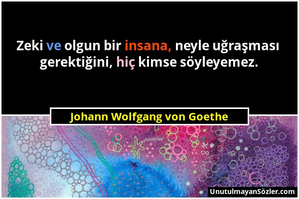 Johann Wolfgang von Goethe - Zeki ve olgun bir insana, neyle uğraşması gerektiğini, hiç kimse söyleyemez....