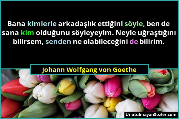 Johann Wolfgang von Goethe - Bana kimlerle arkadaşlık ettiğini söyle, ben de sana kim olduğunu söyleyeyim. Neyle uğraştığını bilirsem, senden ne olabi...