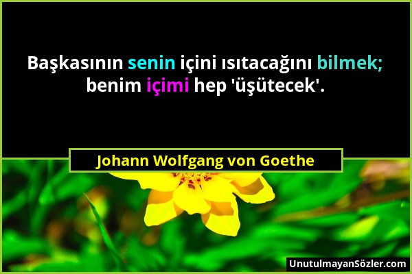 Johann Wolfgang von Goethe - Başkasının senin içini ısıtacağını bilmek; benim içimi hep 'üşütecek'....