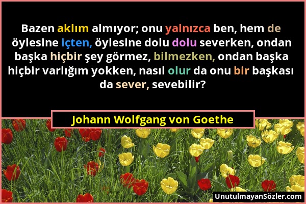 Johann Wolfgang von Goethe - Bazen aklım almıyor; onu yalnızca ben, hem de öylesine içten, öylesine dolu dolu severken, ondan başka hiçbir şey görmez,...
