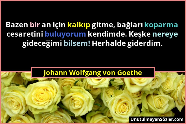 Johann Wolfgang von Goethe - Bazen bir an için kalkıp gitme, bağları koparma cesaretini buluyorum kendimde. Keşke nereye gideceğimi bilsem! Herhalde g...