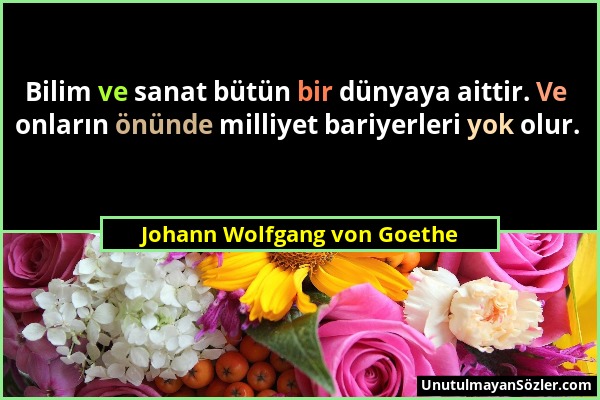 Johann Wolfgang von Goethe - Bilim ve sanat bütün bir dünyaya aittir. Ve onların önünde milliyet bariyerleri yok olur....