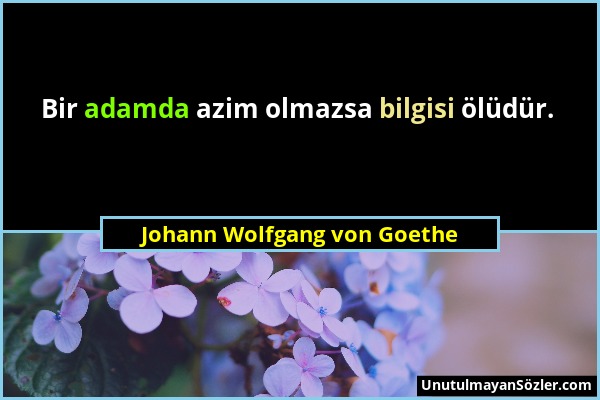 Johann Wolfgang von Goethe - Bir adamda azim olmazsa bilgisi ölüdür....