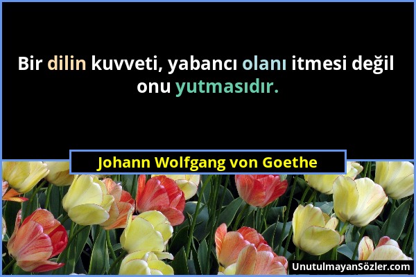 Johann Wolfgang von Goethe - Bir dilin kuvveti, yabancı olanı itmesi değil onu yutmasıdır....