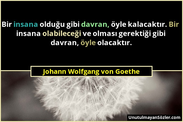 Johann Wolfgang von Goethe - Bir insana olduğu gibi davran, öyle kalacaktır. Bir insana olabileceği ve olması gerektiği gibi davran, öyle olacaktır....