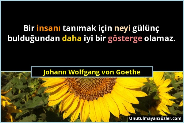 Johann Wolfgang von Goethe - Bir insanı tanımak için neyi gülünç bulduğundan daha iyi bir gösterge olamaz....