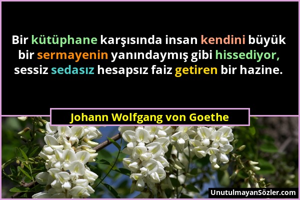 Johann Wolfgang von Goethe - Bir kütüphane karşısında insan kendini büyük bir sermayenin yanındaymış gibi hissediyor, sessiz sedasız hesapsız faiz get...