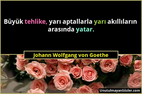 Johann Wolfgang von Goethe - Büyük tehlike, yarı aptallarla yarı akıllıların arasında yatar....