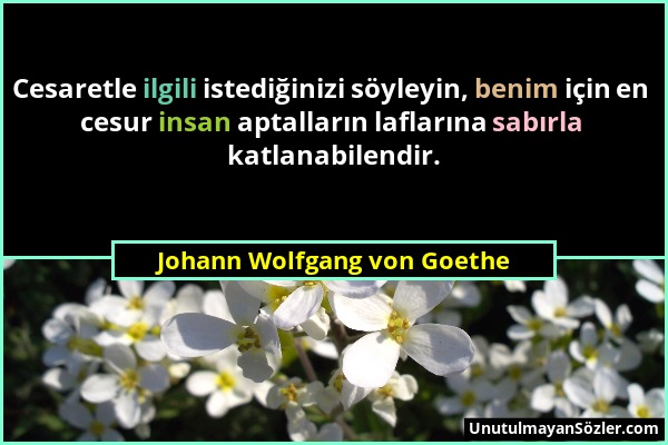 Johann Wolfgang von Goethe - Cesaretle ilgili istediğinizi söyleyin, benim için en cesur insan aptalların laflarına sabırla katlanabilendir....