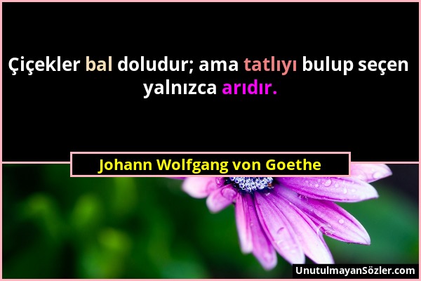 Johann Wolfgang von Goethe - Çiçekler bal doludur; ama tatlıyı bulup seçen yalnızca arıdır....