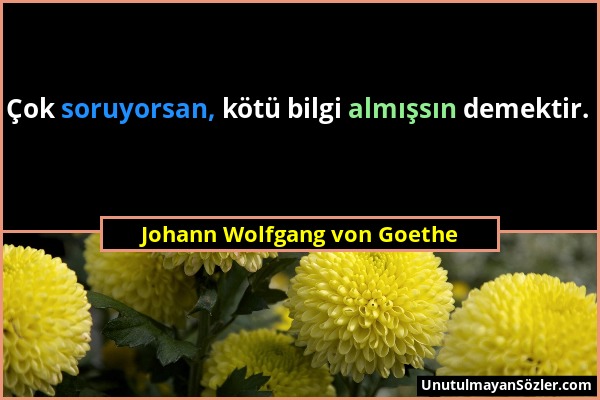 Johann Wolfgang von Goethe - Çok soruyorsan, kötü bilgi almışsın demektir....