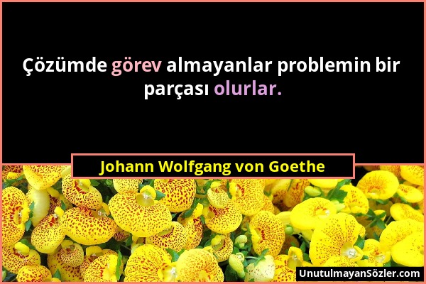 Johann Wolfgang von Goethe - Çözümde görev almayanlar problemin bir parçası olurlar....