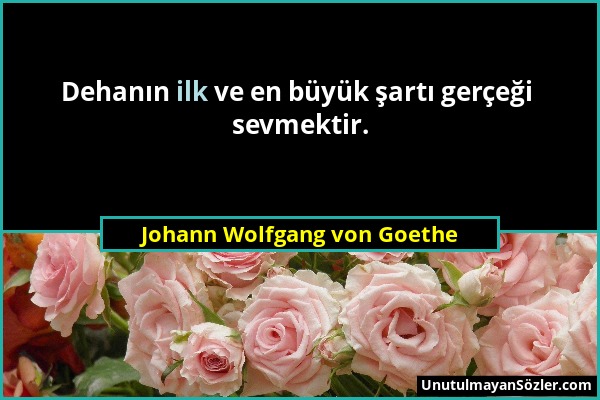 Johann Wolfgang von Goethe - Dehanın ilk ve en büyük şartı gerçeği sevmektir....
