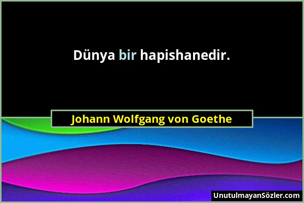Johann Wolfgang von Goethe - Dünya bir hapishanedir....