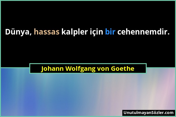 Johann Wolfgang von Goethe - Dünya, hassas kalpler için bir cehennemdir....