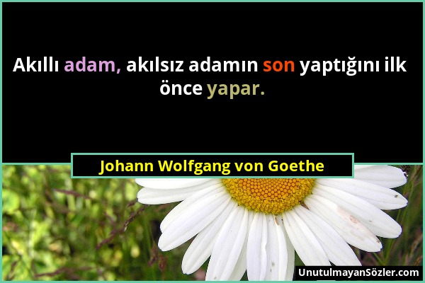 Johann Wolfgang von Goethe - Akıllı adam, akılsız adamın son yaptığını ilk önce yapar....