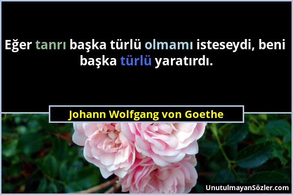 Johann Wolfgang von Goethe - Eğer tanrı başka türlü olmamı isteseydi, beni başka türlü yaratırdı....