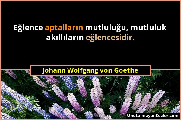 Johann Wolfgang von Goethe - Eğlence aptalların mutluluğu, mutluluk akıllıların eğlencesidir....