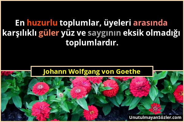 Johann Wolfgang von Goethe - En huzurlu toplumlar, üyeleri arasında karşılıklı güler yüz ve saygının eksik olmadığı toplumlardır....