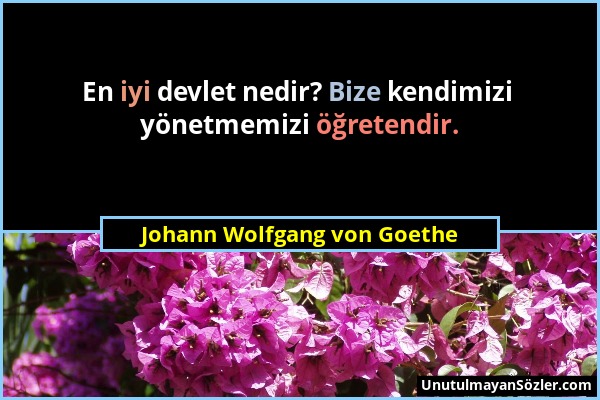 Johann Wolfgang von Goethe - En iyi devlet nedir? Bize kendimizi yönetmemizi öğretendir....