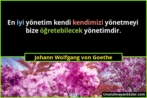 Johann Wolfgang von Goethe - En iyi yönetim kendi kendimizi yönetmeyi bize öğretebilecek yönetimdir....