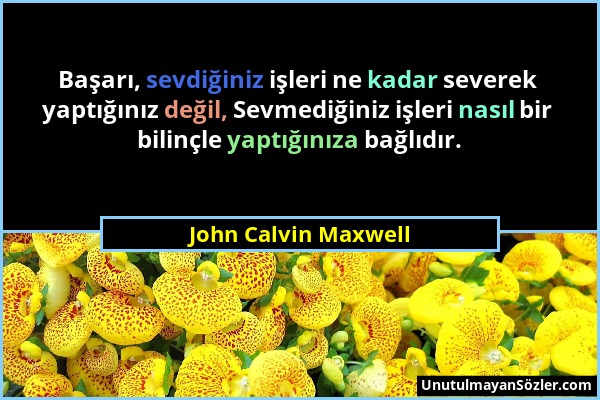 John Calvin Maxwell - Başarı, sevdiğiniz işleri ne kadar severek yaptığınız değil, Sevmediğiniz işleri nasıl bir bilinçle yaptığınıza bağlıdır....