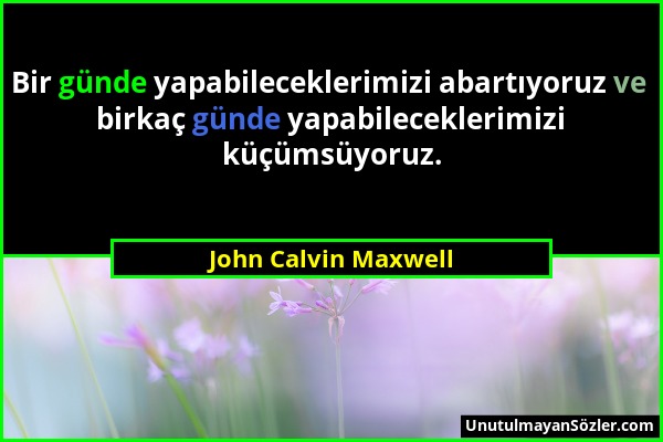 John Calvin Maxwell - Bir günde yapabileceklerimizi abartıyoruz ve birkaç günde yapabileceklerimizi küçümsüyoruz....