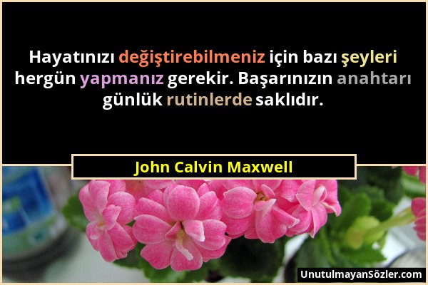 John Calvin Maxwell - Hayatınızı değiştirebilmeniz için bazı şeyleri hergün yapmanız gerekir. Başarınızın anahtarı günlük rutinlerde saklıdır....